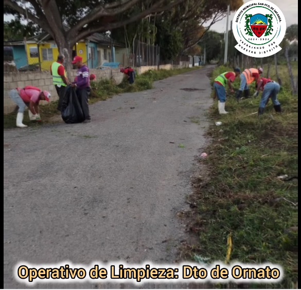 Operativo de Limpieza